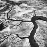 Paul Nicklen Photographs the Colorado River as It Etches Itself Like Veiny Branches into the Landscape
