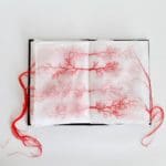 Using Red Thread, Rima Day Intertwines History, Nature, and Human Experience in Striking Embroideries