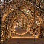 Immersive Bamboo Installations by Asim Waqif Whirl and Heave in Monumental Motion